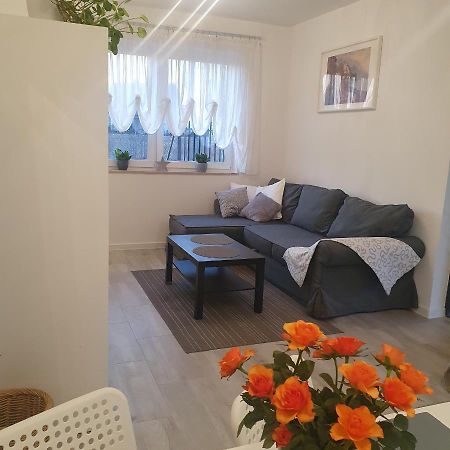 Apartament Wrzosowa Kudowa-Zdrój Exteriér fotografie