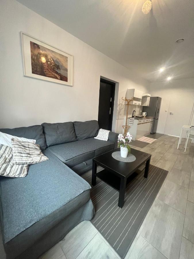 Apartament Wrzosowa Kudowa-Zdrój Exteriér fotografie